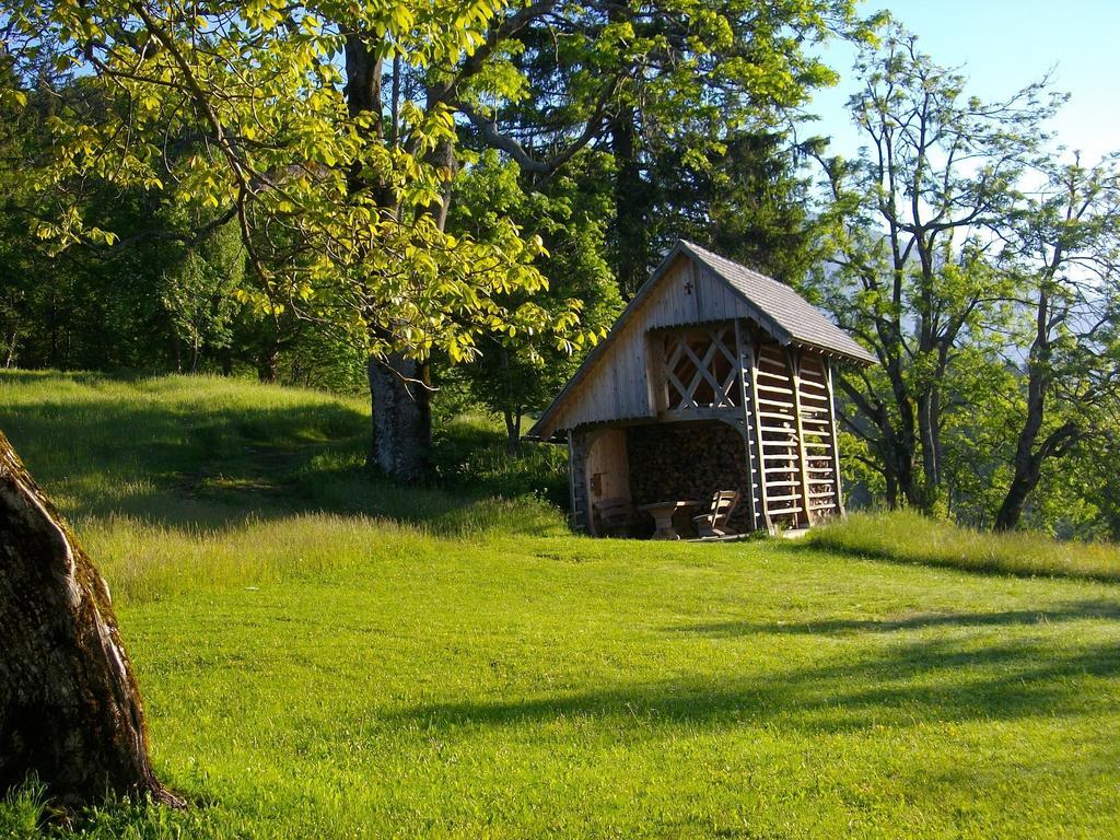 Gostilna Pension Blegos Поляне-над-Шкофьо Локо Екстер'єр фото
