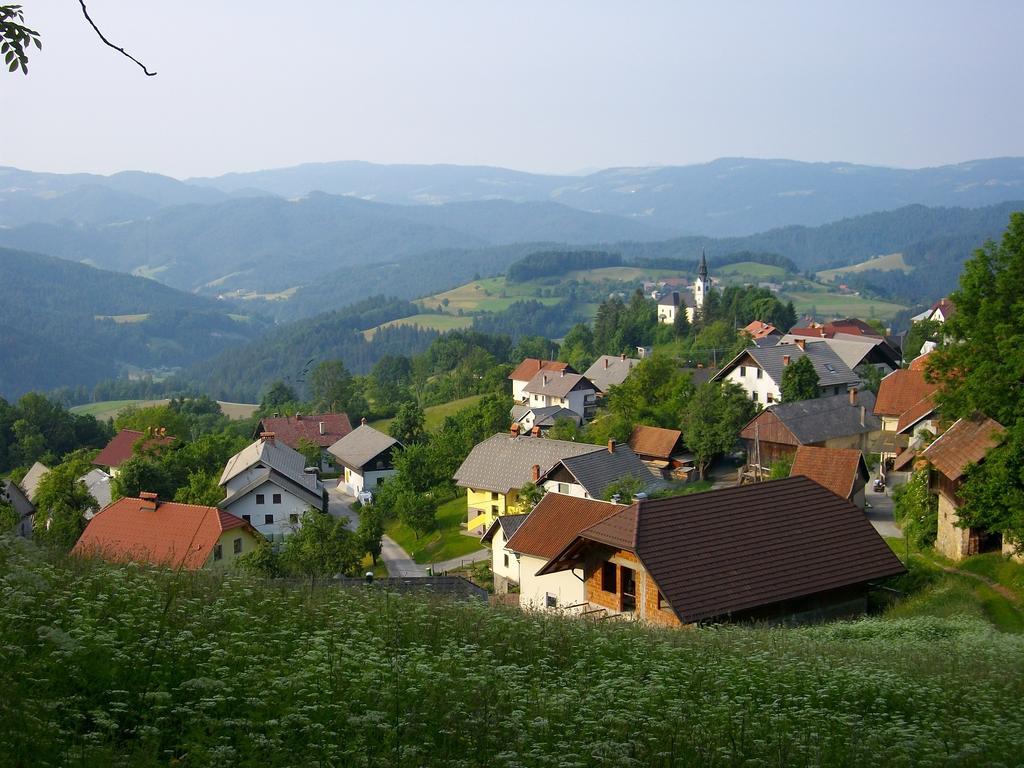 Gostilna Pension Blegos Поляне-над-Шкофьо Локо Екстер'єр фото