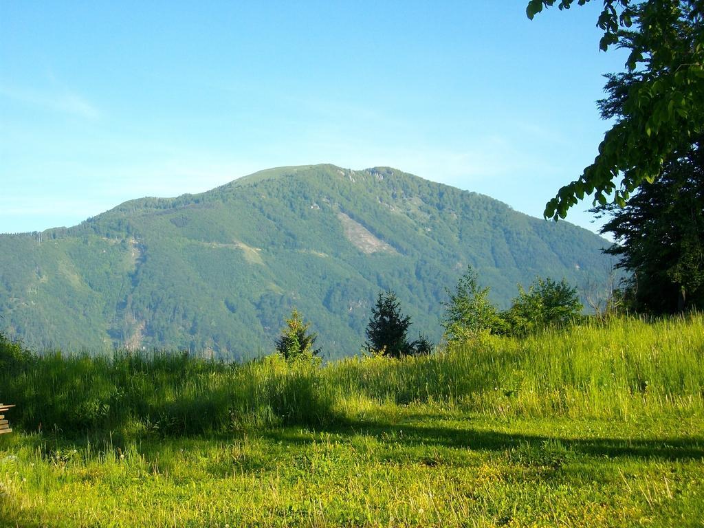 Gostilna Pension Blegos Поляне-над-Шкофьо Локо Екстер'єр фото